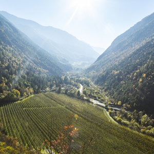 Südtirol ist bekannt für seinen Apfelanbau. Weshalb? Schaut Euch diese Landschaft an, da können die Äpfel nur saftig werden!