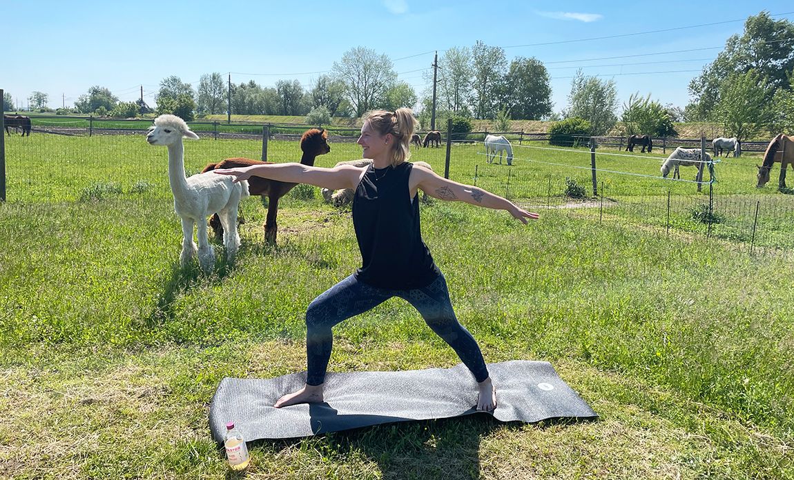 Yopaka: Yoga mit Alpakas x ICH BIN WAS?ER